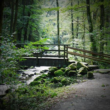 Fewo Kedo Neukirchen vorm Wald Εξωτερικό φωτογραφία