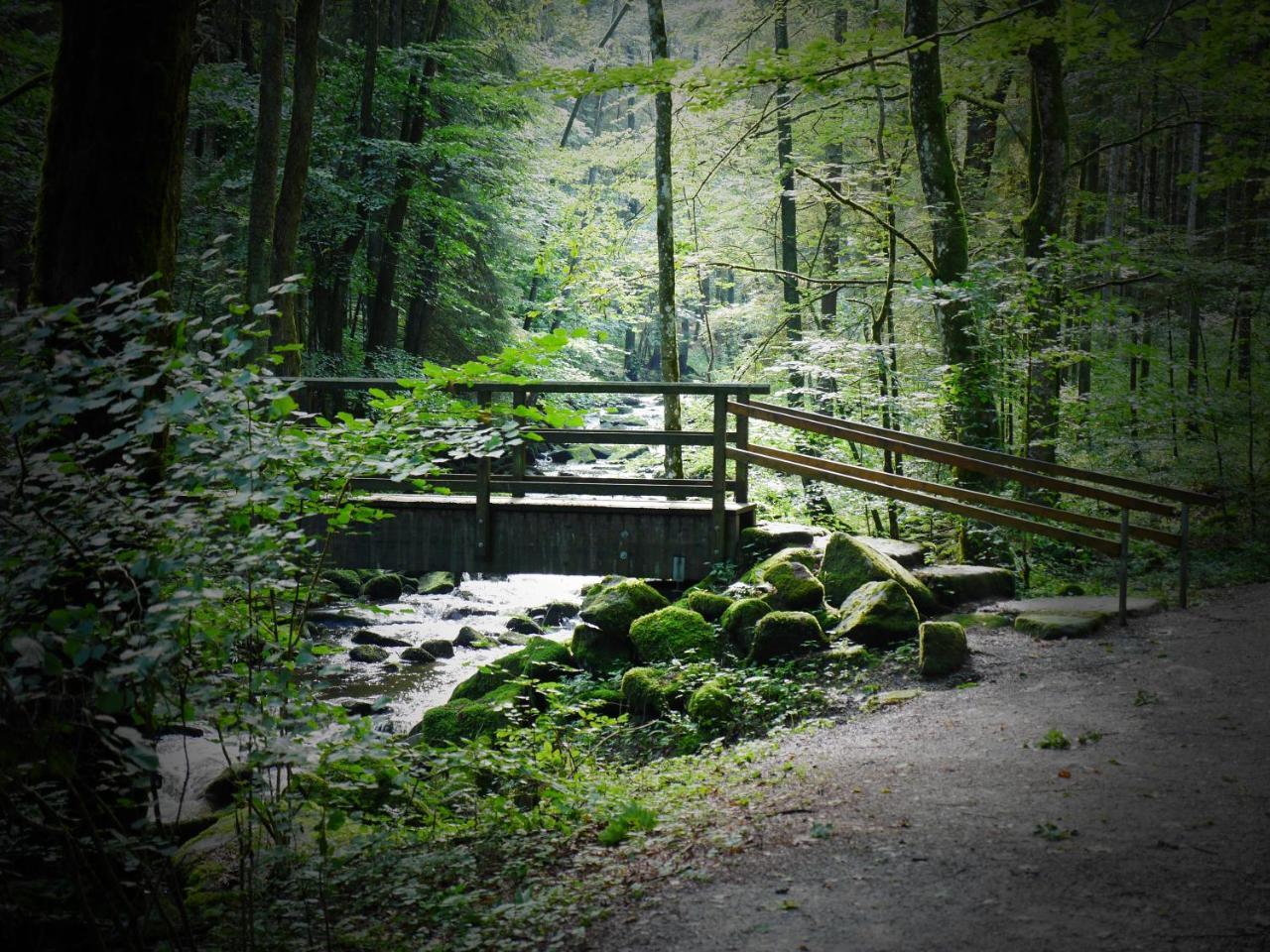 Fewo Kedo Neukirchen vorm Wald Εξωτερικό φωτογραφία