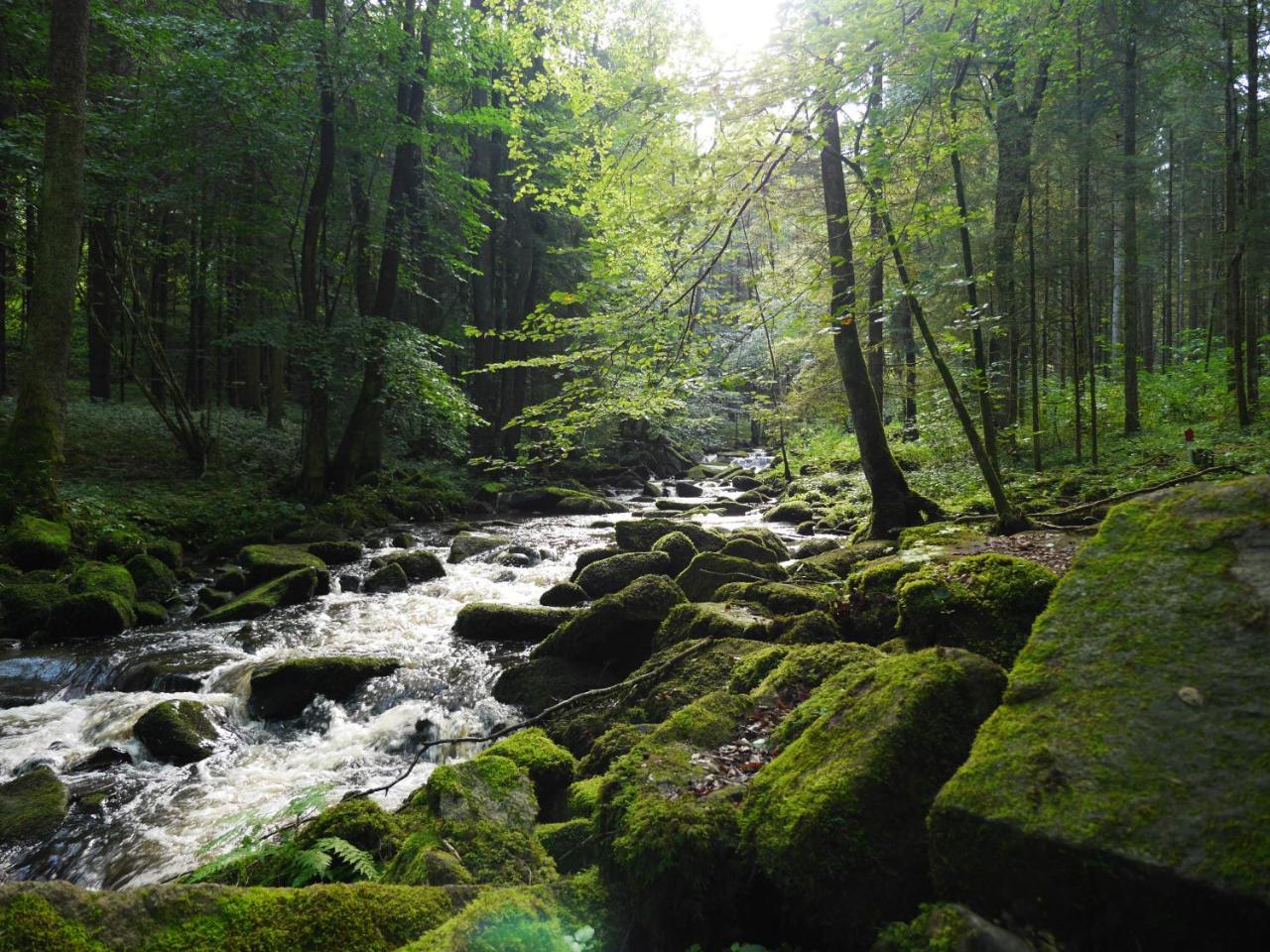 Fewo Kedo Neukirchen vorm Wald Εξωτερικό φωτογραφία