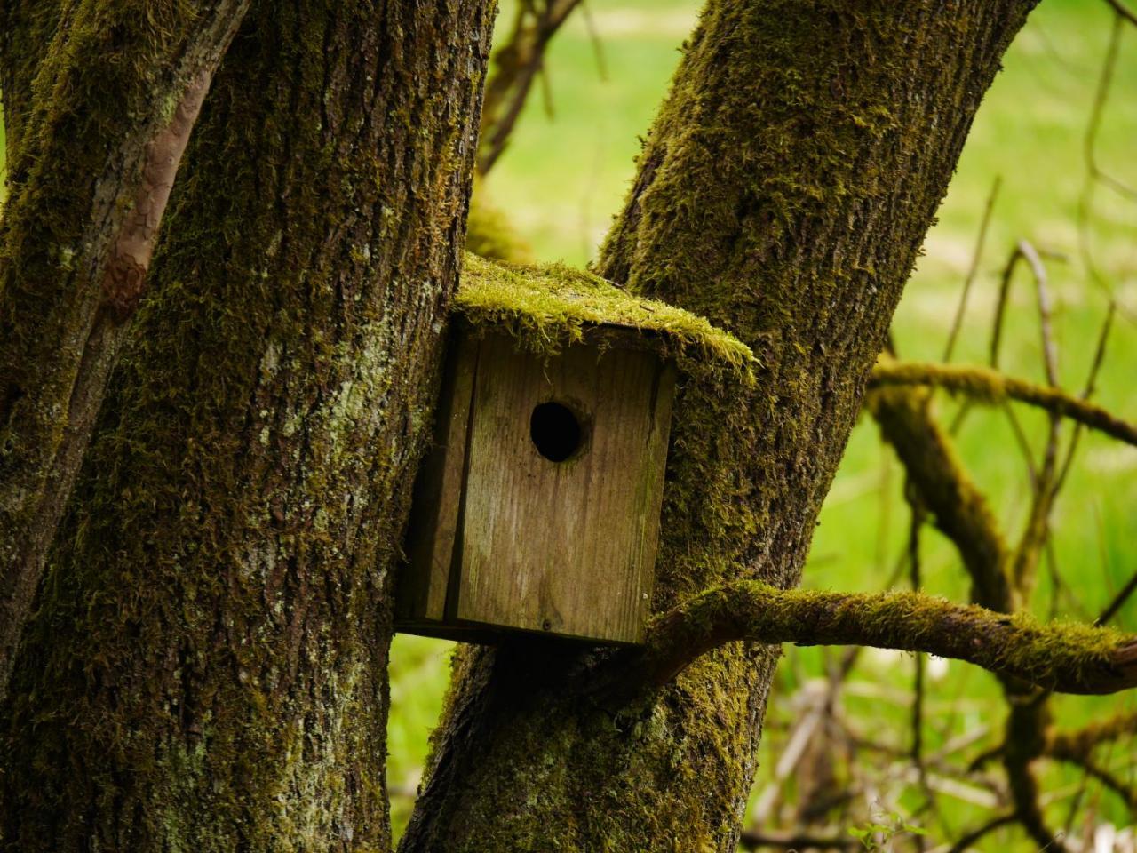 Fewo Kedo Neukirchen vorm Wald Εξωτερικό φωτογραφία
