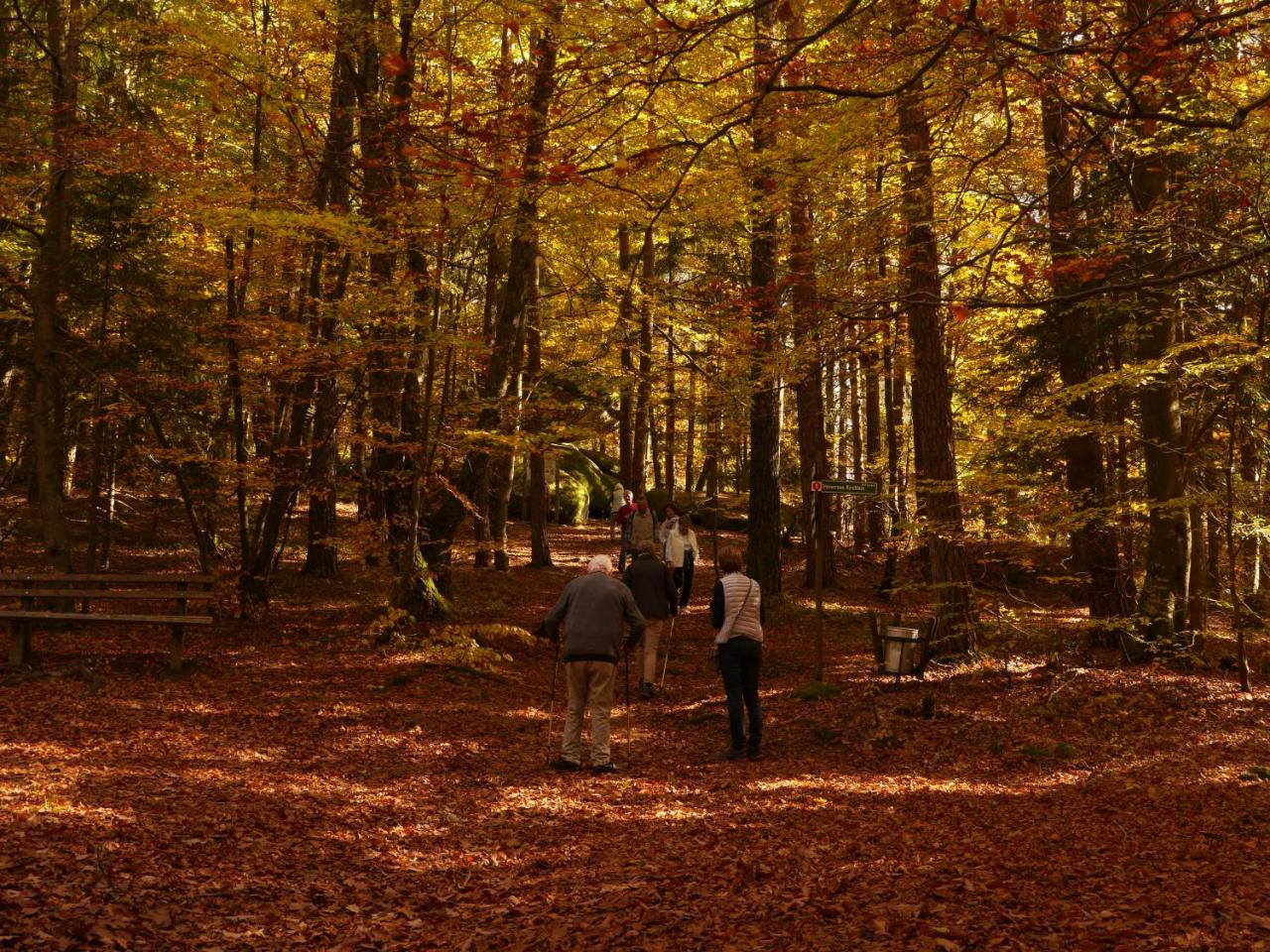 Fewo Kedo Neukirchen vorm Wald Εξωτερικό φωτογραφία